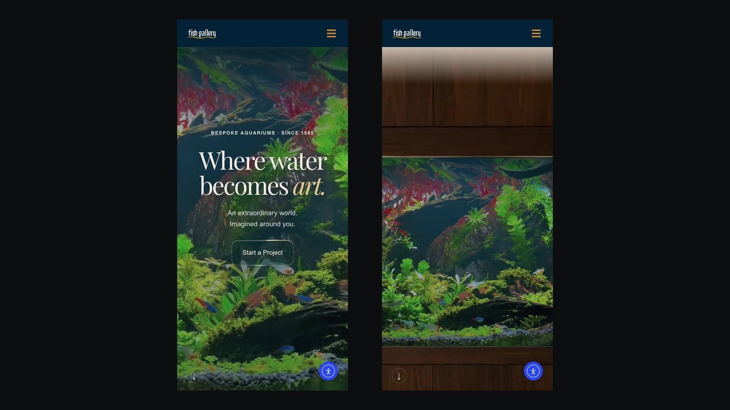 The homepage opening and the cabinet chapter on a phone